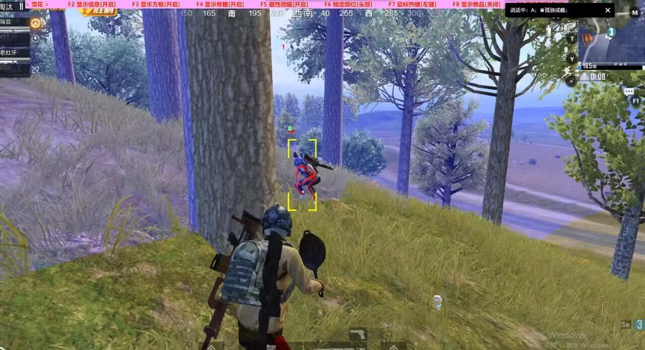 和平精英辅助【神眸】